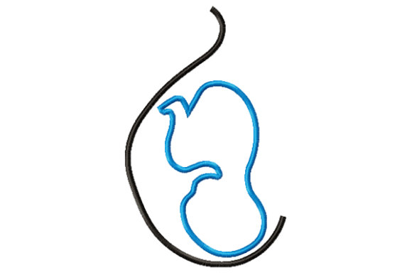 Pregnancy Applique Review